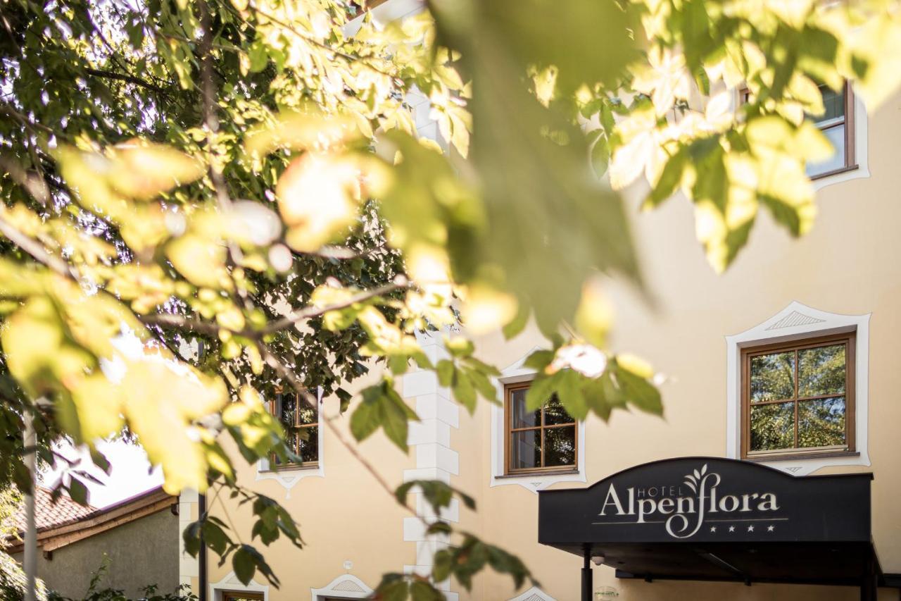 Hotel Alpenflora カステルロット エクステリア 写真